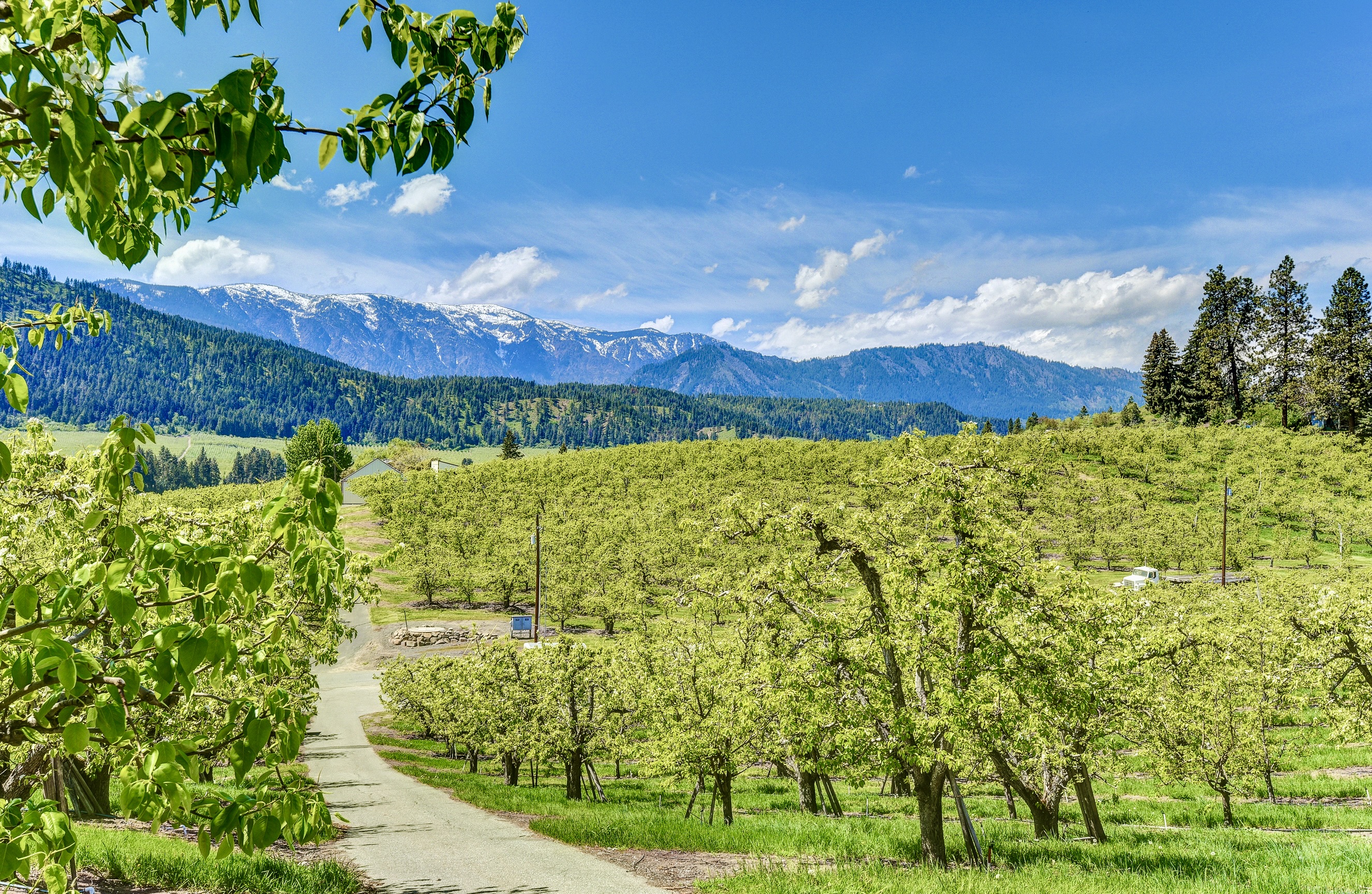 View of the surrounding foothills and landscape