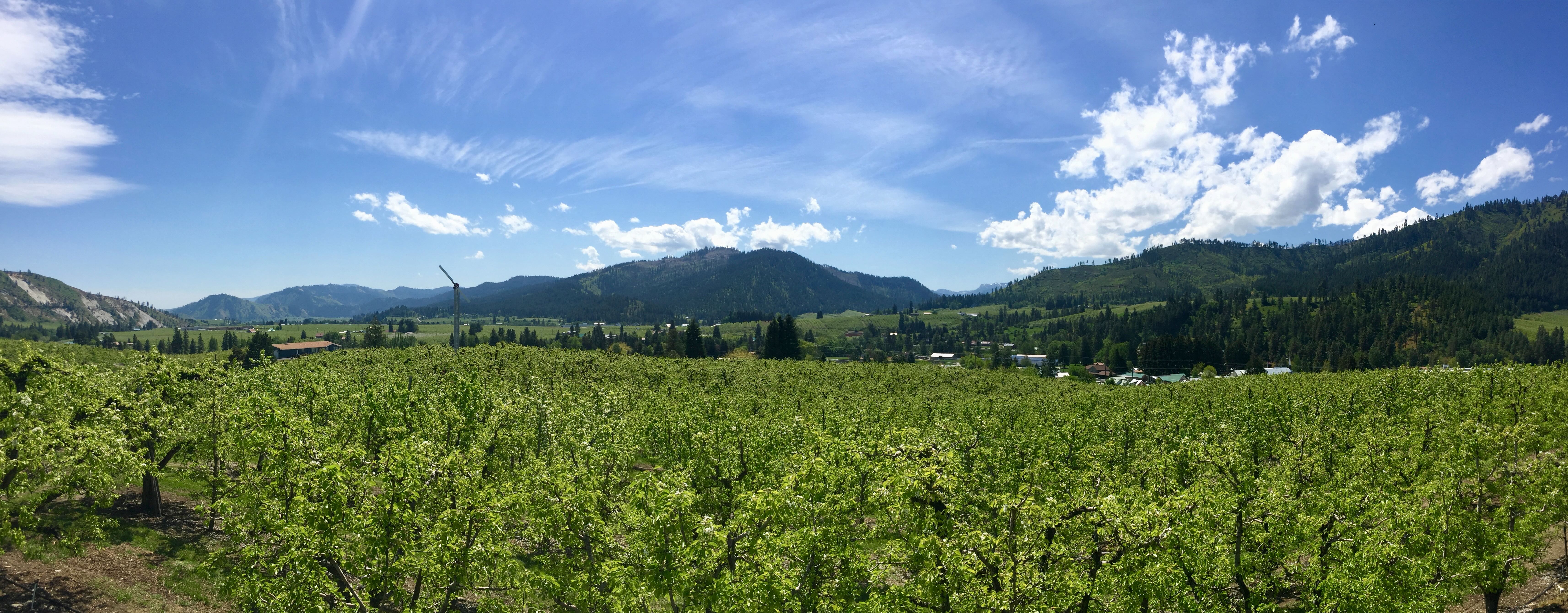 View over the Peshastin Property toward the valley and mountains